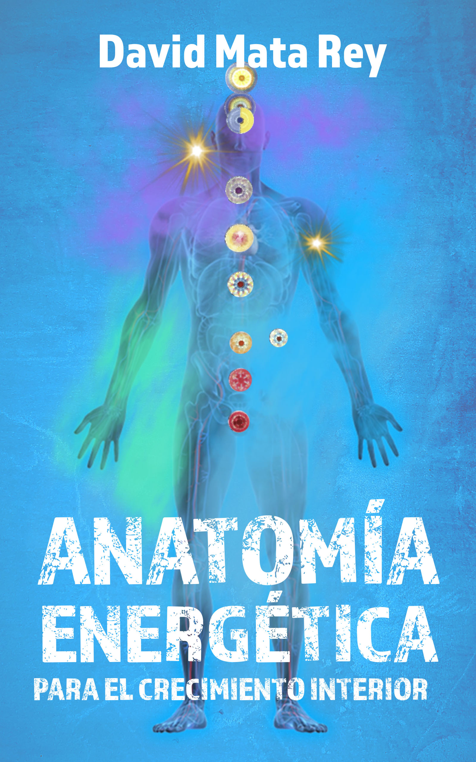 Anatomia energetica I